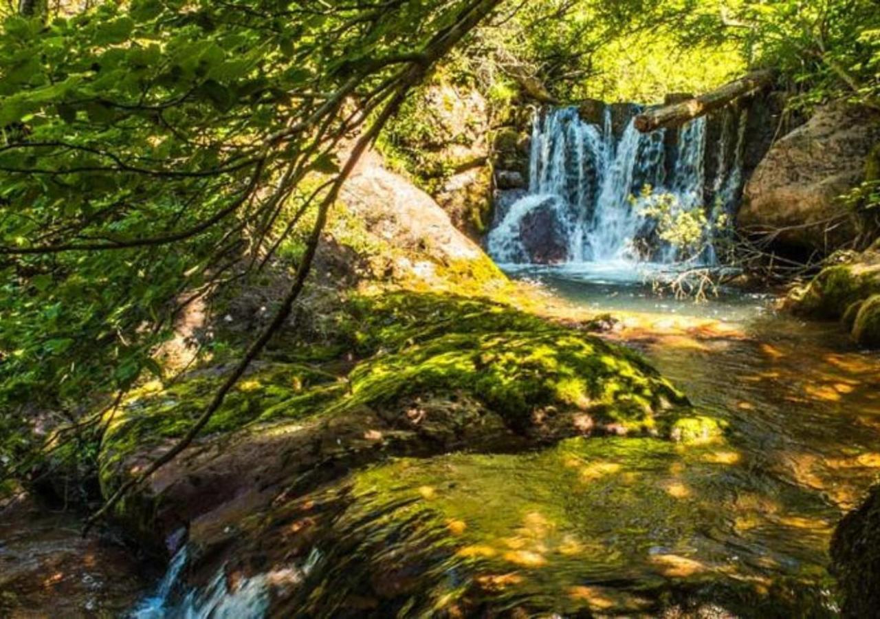 Apartamento Con Encanto En El Pirineo La Pobla de Lillet Dış mekan fotoğraf