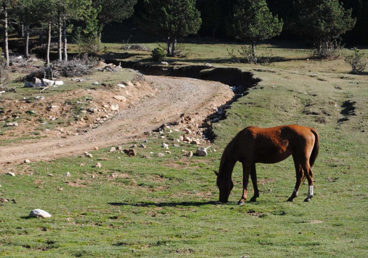 Apartamento Con Encanto En El Pirineo La Pobla de Lillet Dış mekan fotoğraf