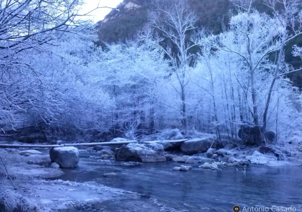 Apartamento Con Encanto En El Pirineo La Pobla de Lillet Dış mekan fotoğraf